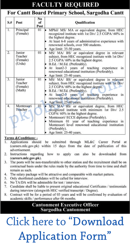 Cantonment Board Primary School Sargodha Cantt Jobs 2024 July / August Application Form