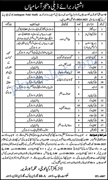 Punjab department of archaeology and museums jobs july 2024 mali, chowkidar