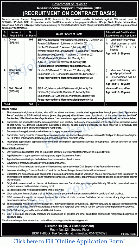 Benazir income support programme jobs august 2024 bisp online application form