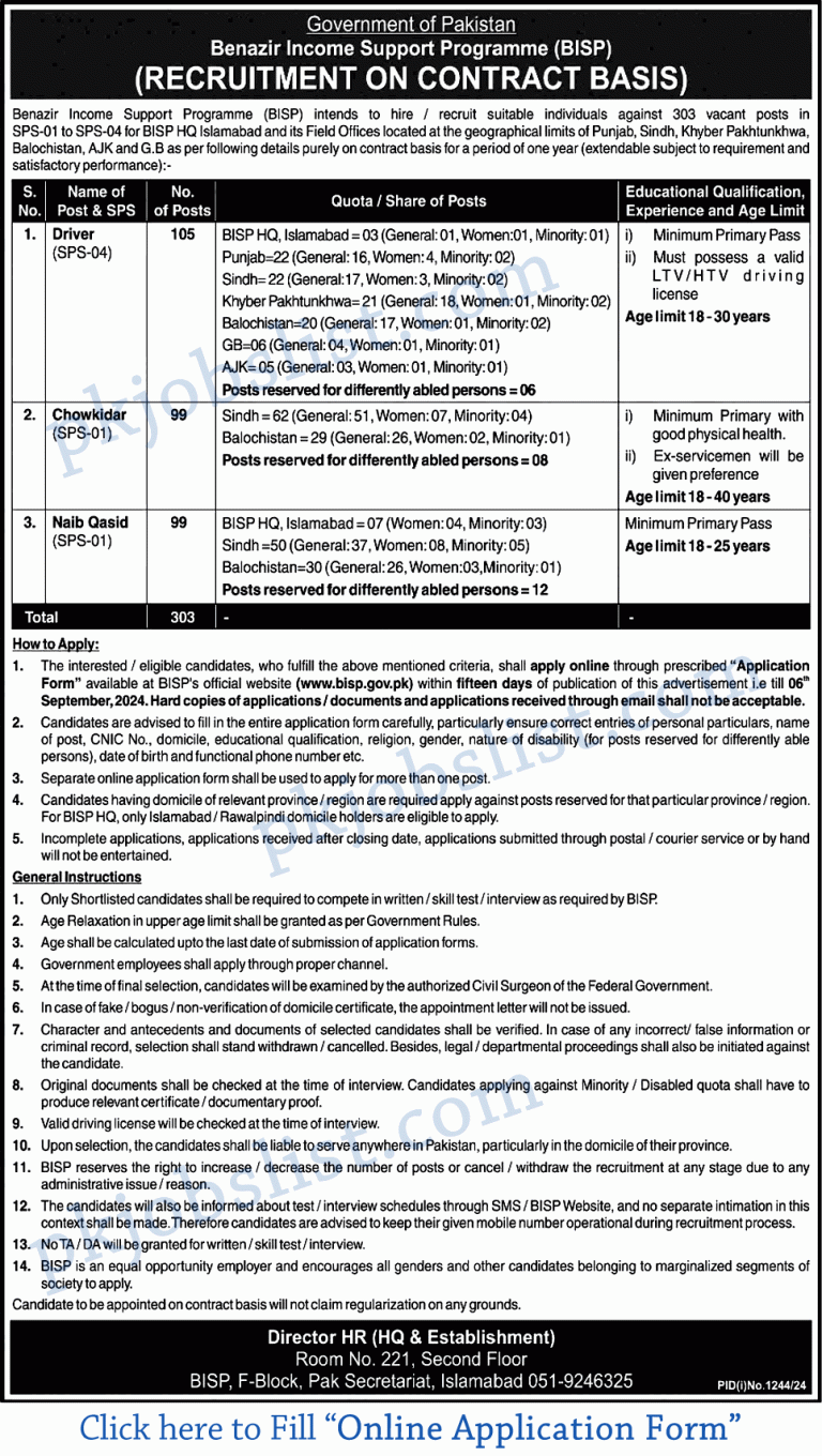 Benazir Income Support Programme Jobs August 2024 BISP Online Application Form