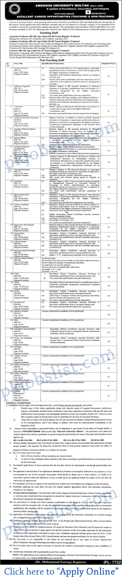 Emerson University Multan Jobs August 2024 Apply Online EUM Teaching Faculty & More