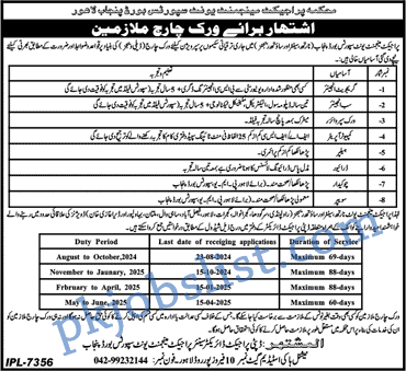 Sports board punjab jobs 2024 august sub engineer, computer operator & more