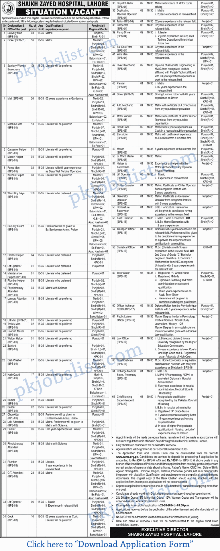 Sheikh Zayed Hospital Lahore Jobs August 2024 Application Form SZMC