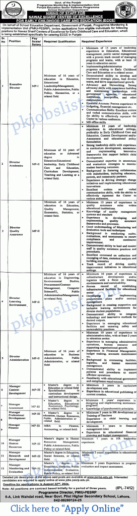 School education department punjab jobs august 2024 apply online pmiu pesrp