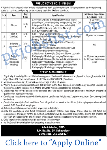 PO Box No 35 Bahawalpur Jobs 2024 October Apply Online Public Sector Organization BINO