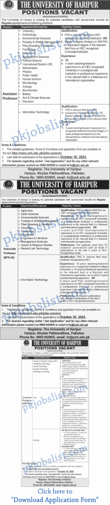 Assistant & Associate Professor Jobs in University of Haripur October 2024 Application Form