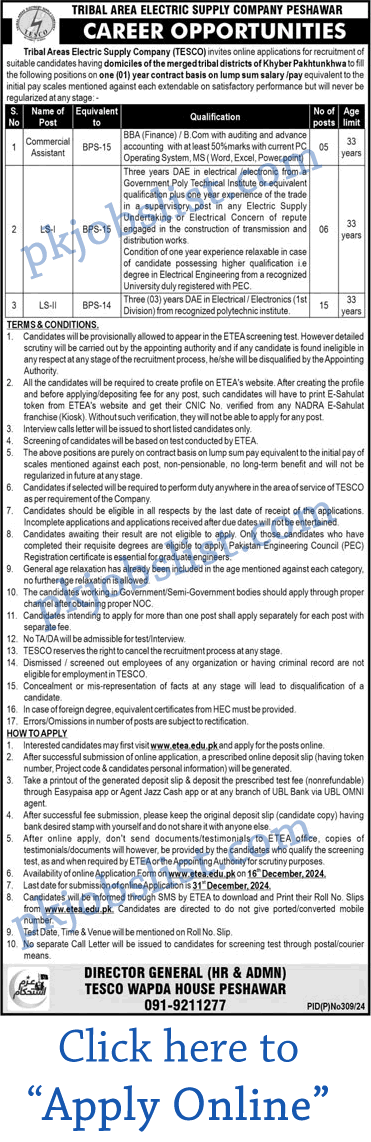 Tribal Area Electric Supply Company Jobs December 2024 ETEA Online Application Form