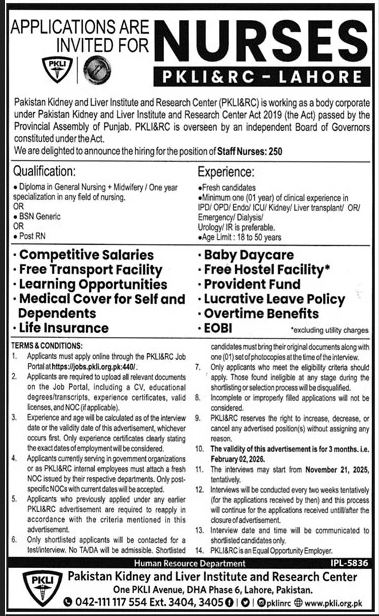 Home 6 PKLI Lahore Jobs November 2025 Apply Online