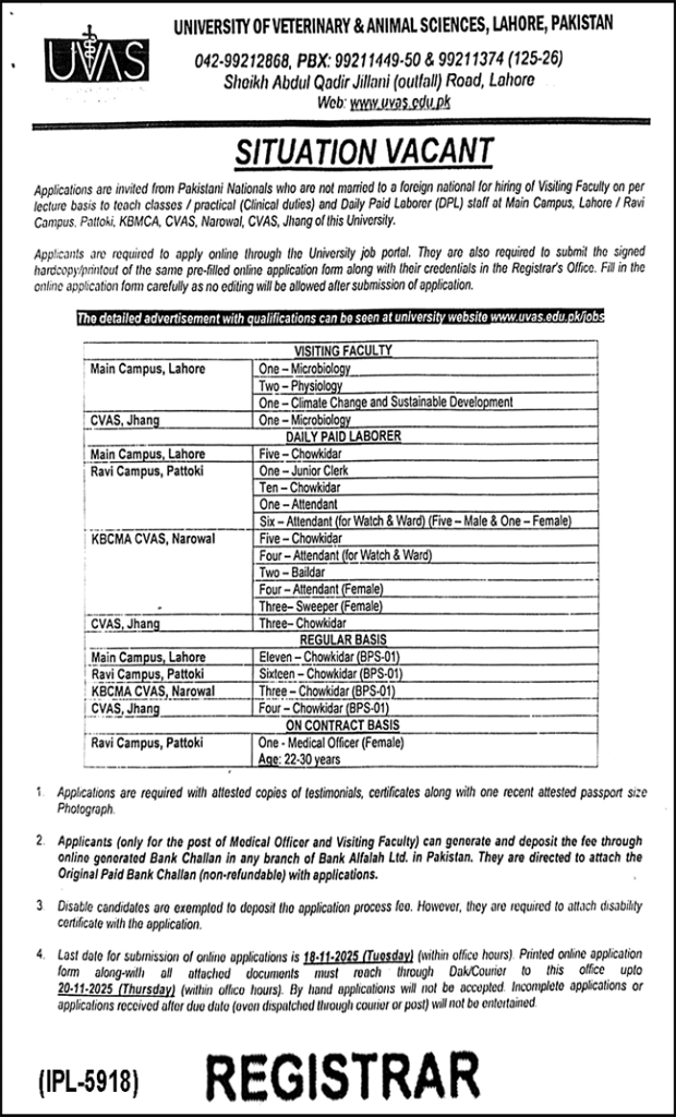 UVAS Lahore Jobs 2025 November Online Apply