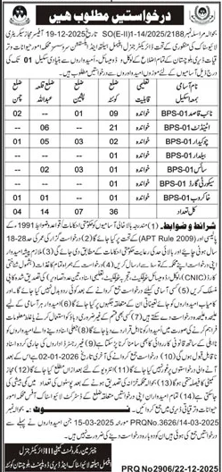 Livestock Department Balochistan Jobs 2025 December Attendants & More Latest