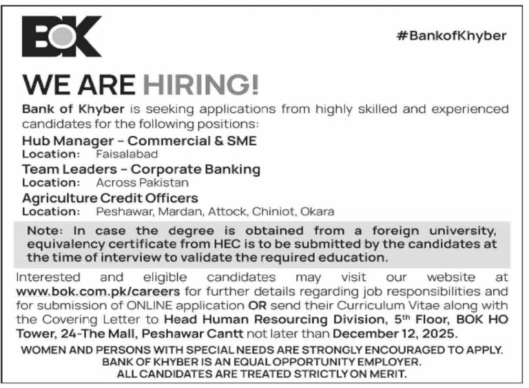 Home 3 Bank of Khyber Jobs 2025 December Apply Online