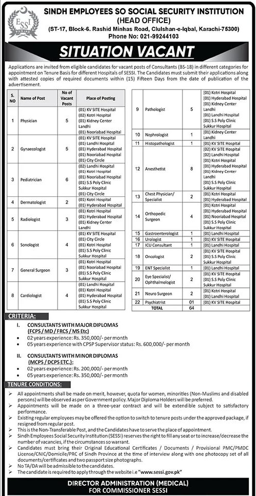 SESSI Sindh Jobs 2025 December Apply Online