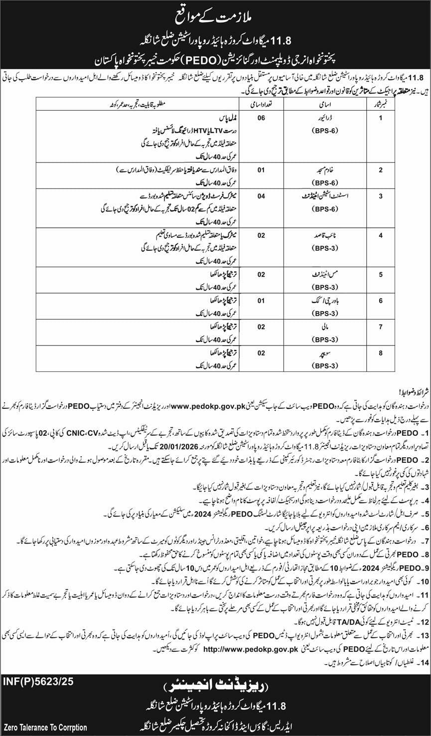 Energy Department KPK Jobs 2026 January Application Form PEDO 1 PEDO