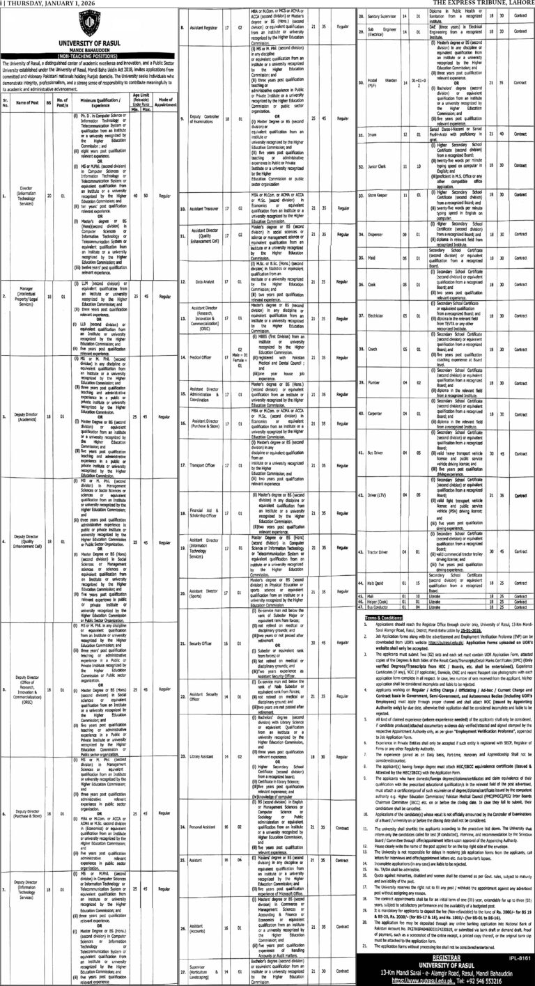 University of Rasul Mandi Bahauddin Jobs 2026 January Apply Online